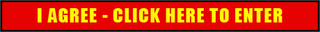enter tranzmnia.com